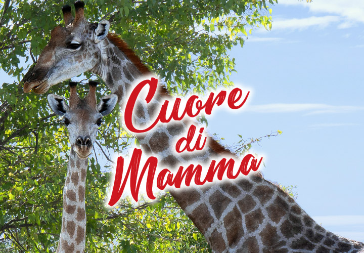 Copertina calendario Cuore di Mamma di Andrea Pivari