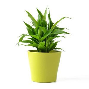 Ecommerce image preparation